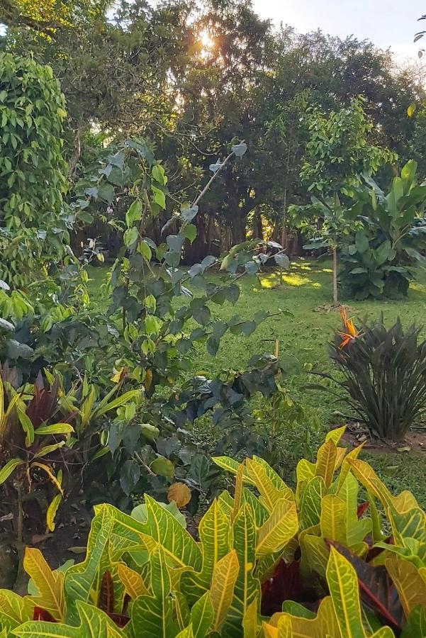 Balsora Hotel Boutique La Tebaida Luaran gambar