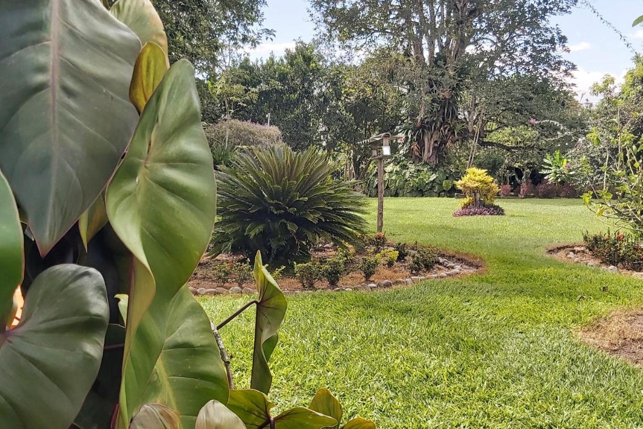 Balsora Hotel Boutique La Tebaida Luaran gambar