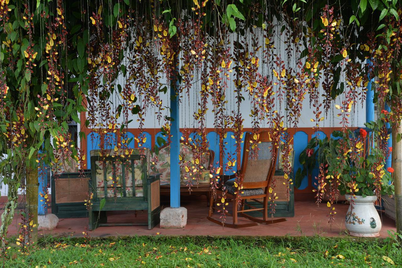Balsora Hotel Boutique La Tebaida Luaran gambar